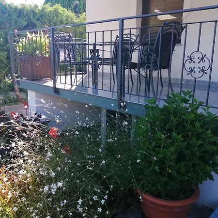 In - Balaton 51544 * 蒂豪尼